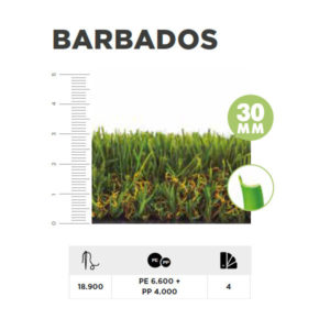 Barbados 30mm